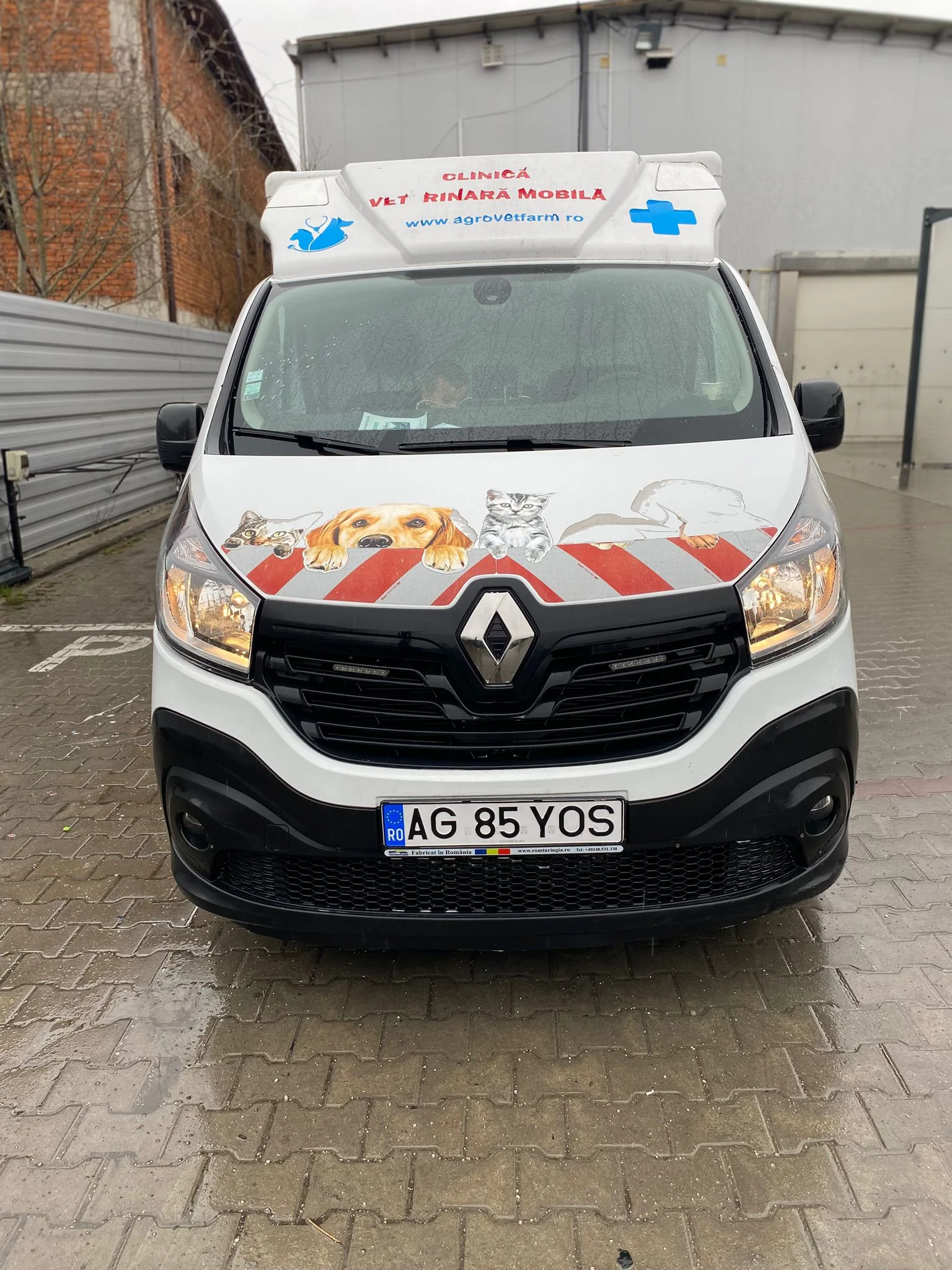 Ambulanță veterinară mobilă Yosi-Vethelp - deplasări la domiciliu în Argeș